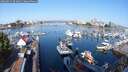 ./images/victoria/wharf/20250825/wharf20250825_093011M.jpg