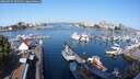 ./images/victoria/wharf/20250825/wharf20250825_095011M.jpg