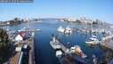 ./images/victoria/wharf/20250825/wharf20250825_100511M.jpg