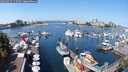 ./images/victoria/wharf/20250825/wharf20250825_115509M.jpg