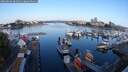 ./images/victoria/wharf/20250826/wharf20250826_081011M.jpg