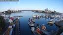 ./images/victoria/wharf/20250826/wharf20250826_081511M.jpg