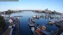 ./images/victoria/wharf/20250826/wharf20250826_082009M.jpg