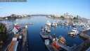 ./images/victoria/wharf/20250826/wharf20250826_083510M.jpg