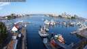 ./images/victoria/wharf/20250826/wharf20250826_092509M.jpg