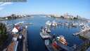 ./images/victoria/wharf/20250826/wharf20250826_093012M.jpg