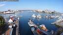 ./images/victoria/wharf/20250826/wharf20250826_094511M.jpg