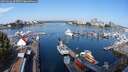 ./images/victoria/wharf/20250826/wharf20250826_095011M.jpg