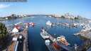 ./images/victoria/wharf/20250826/wharf20250826_100011M.jpg