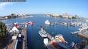 ./images/victoria/wharf/20250826/wharf20250826_102010M.jpg