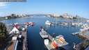 ./images/victoria/wharf/20250826/wharf20250826_104011M.jpg