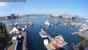 ./images/victoria/wharf/20250826/wharf20250826_104511M.jpg