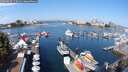 ./images/victoria/wharf/20250826/wharf20250826_110010M.jpg