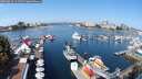 ./images/victoria/wharf/20250826/wharf20250826_111511M.jpg