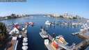 ./images/victoria/wharf/20250826/wharf20250826_112009M.jpg