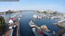 ./images/victoria/wharf/20250827/wharf20250827_095509M.jpg