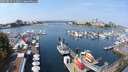 ./images/victoria/wharf/20250827/wharf20250827_120011M.jpg