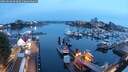 ./images/victoria/wharf/20250828/wharf20250828_061009M.jpg