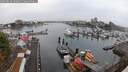 ./images/victoria/wharf/20250828/wharf20250828_100012M.jpg