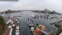 ./images/victoria/wharf/20250828/wharf20250828_113012M.jpg