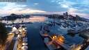 ./images/victoria/wharf/20250828/wharf20250828_202507M.jpg