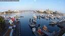 ./images/victoria/wharf/20250829/wharf20250829_074011M.jpg