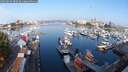 ./images/victoria/wharf/20250829/wharf20250829_080509M.jpg