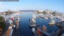 ./images/victoria/wharf/20250829/wharf20250829_081511M.jpg