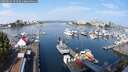 ./images/victoria/wharf/20250829/wharf20250829_101009M.jpg