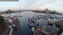 ./images/victoria/wharf/20250830/wharf20250830_064010M.jpg