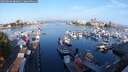 ./images/victoria/wharf/20250830/wharf20250830_080011M.jpg