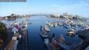./images/victoria/wharf/20250830/wharf20250830_080510M.jpg