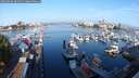 ./images/victoria/wharf/20250830/wharf20250830_081511M.jpg