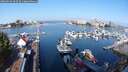 ./images/victoria/wharf/20250830/wharf20250830_092509M.jpg