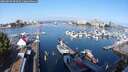 ./images/victoria/wharf/20250830/wharf20250830_094009M.jpg