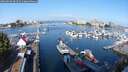 ./images/victoria/wharf/20250830/wharf20250830_094510M.jpg
