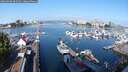 ./images/victoria/wharf/20250830/wharf20250830_095011M.jpg