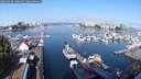 ./images/victoria/wharf/20250830/wharf20250830_100012M.jpg