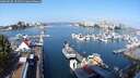 ./images/victoria/wharf/20250830/wharf20250830_101511M.jpg