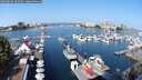 ./images/victoria/wharf/20250830/wharf20250830_105009M.jpg