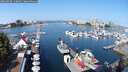 ./images/victoria/wharf/20250830/wharf20250830_110012M.jpg