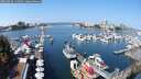 ./images/victoria/wharf/20250830/wharf20250830_115011M.jpg