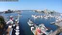 ./images/victoria/wharf/20250830/wharf20250830_115510M.jpg