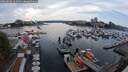 ./images/victoria/wharf/20250830/wharf20250830_161011M.jpg