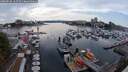 ./images/victoria/wharf/20250830/wharf20250830_161511M.jpg