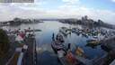 ./images/victoria/wharf/20250831/wharf20250831_075509M.jpg