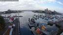 ./images/victoria/wharf/20250831/wharf20250831_081010M.jpg