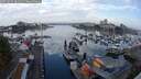 ./images/victoria/wharf/20250831/wharf20250831_081511M.jpg