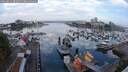 ./images/victoria/wharf/20250831/wharf20250831_082011M.jpg