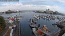 ./images/victoria/wharf/20250831/wharf20250831_084011M.jpg